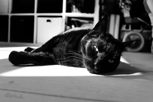 �1756764 �������(a): ����������:2048x1365